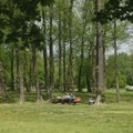 Posečeno rastinje na Adi Ciganliji gde je planirano postavljanje panoramskog balona