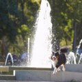 Sveže jutro, pa topao dan – temperatura do 32 stepena