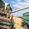 Država otkupljuje pšenicu novog roda