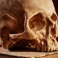 Nakon 5.200 godina! Naučnici otkrili misteriju lobanje iz močvare u Danskoj!