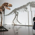 Skelet dinosaurusa prodan na aukciji za šest miliona dolara