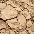 Srpske poljoprivrednike zabrinula suša