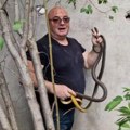 Šok prizor! Vladica objavio gde je otkrio dve ogromne zmije: Morali smo da bušimo rupe, ko zna koliko su boravile (foto)