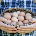 Ovo je najzdraviji način pripreme jaja: Nutricionisti savetuju da dodate i malo povrća