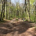 Nacionalni park Fruška gora postavlja kamere na šumskim stazama - zbog zaštite od požara