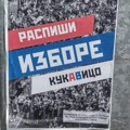 Studenti će istrajati u zahtevu za vanrednim izborima