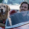 Pripremite maramice: Dirljiv film o ljubavi čoveka i psa obara sve rekorde na Netfliksu