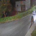 (Video) Beži medo, beži! Zver zalutala u naselje u potrazi za hranom, a onda je počela potera
