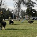 (Foto) odani vojnici na četiri noge Počela obuka vodiča pasa i dresura služebih pasa za vojnu službu