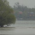 Alarm u Srbiji: Izlile se dve reke, vodostaj na ovim raste iz sata u sat! Stručnjaci upozoravaju: Građanima se savetuje…