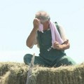 Srbija se "prži" na tropskim temperaturama, ali za njih nema odmora: "Poraniš pred zoru, a u kuću ulaziš tek kad se smrkne"