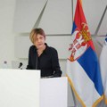 Vuletić: Struja je više od komfora