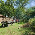 Čitaoci javljaju: Meštani Pečenjevca uredjivali selo i crkveno dvorište posle nevremena