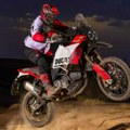 Prvi pogled na novi Ducati DesertX Rally