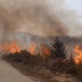 Požar kod Prijepolja zahvatio više od 100 hektara – jak vetar otežava gašenje, vatra pod kontrolom