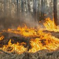 Četvrti dan borbe sa šumskim požarom severozapadno od Atine