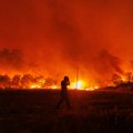 Pronađeno 18 tela na severu Grčke u području zahvaćenom šumskim požarom