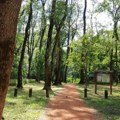 Na svega 20 minuta od Beograda krije se neverovatno izletište! Savršeno mesto za vikend sa porodicom, a ima čak i plažu