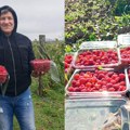 NEVEROVATNO: Malina ove godine rodila dva puta – Grujići iz Majura ubrali 300 kilograma tokom jeseni! (FOTO)