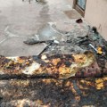 Пустош, чађ и лом! Овако сада изгледа локал у Котежу који су запалиле особе за којима се трага