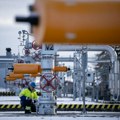 Stručnjak za tehničku analizu: Cene žitarica rastu, zaboravite na naftu - ključan je gas
