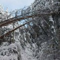 Snežni kolaps na zapadu Srbije i dalje traje: Hiljade ljudi bez struje, monteri već 16 sati na terenu saniraju kvarove (foto)