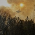 Više regiona u Španiji u plamenu, uništeno oko 115.000 hektara