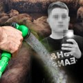 "Čistio je svinjama rešetke i pao mrtav": Detalji smrti Jovana (19) u Bogatiću: Sumnja se da je ovo izazvalo tragediju