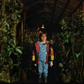 Film „Sunce nikad više“ srpski kandidat za Oskara: Prekinut je trend biranja istorijskih filmova