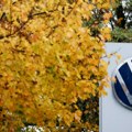 Први пут у историји компаније: Фолксваген затвара фабрику у Немачкој