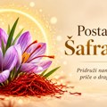 Postani deo Šafran tima!