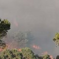 Preko hiljadu vatrogasaca na terenu: Gori u ovom delu Evrope, vetar otežava gašenje požara