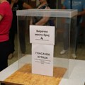 Milošević: Opozicija u Zaječaru će podneti žalbe i krivične prijave zbog odbijanja prigovora