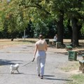 (Foto) ovo je najlepša fotografija koju ćete danas videti: Parkić u Zemunu zaista je čaroban, a kada pročitate opis ove majke…