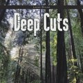 Promocija knjige „Deep Cuts“ Lazara Divjaka na Spratu 25. februara