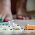 Ne možete da se rešite mrava? Gledajte kako beže glavom bez obzira uz pomoć ovog trika od 0 dinara