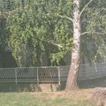 Telegraf saznaje: Poznati hirurg ubijen u kući u Banatskim Karlovcima! Osumnjičen maloletni sin supruge!