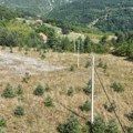 Veliki investicioni ciklus elektrodistribucije: Više od 181 milion dinara za elektrodistributivnu mrežu u novoj varoši