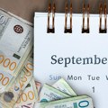 Za samo nekoliko sati 222.000 prijava! "Blic Biznis" saznaje: 346.000 ljudi je jutros proverilo da li ima pravo na pomoć od…