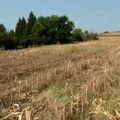 Spaljivanje biljnih ostataka povećava rizik od požara na otvorenom i šteti zemljištu