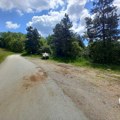 Jeziv prizor u selu Rajac kod Čačka: Pet mrtvih pasa i oko njih patroni, meštani zgroženi i uplašeni - na teren izašla…