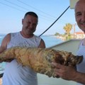 Kad Srbi krenu na letovanje, svima pada vilica na pod - pečeno jagnje od 27 kilograma na plaži u Pefkohoriju šokiralo sve…