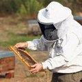 Peticiju protiv ozloglašenog pesticida potpisalo oko milion građana