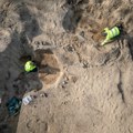 Paleontolozi u Švajcarskoj otkrili očuvani fosil Lariosaurusa, reptila koji je živeo pre 240 miliona godina
