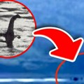 Lovac na čudovište iz Loh Nesa fasciniran snimkom: Biće dugačko kao 3 čoveka izranja iz dubine
