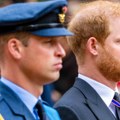 Povratak koji trese kraljevsku porodicu! Otuđeni Hari i Megan stižu u Britaniju, princ Vilijam je "van sebe od besa": Zemlju…
