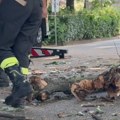 Tornado razorio Kremonu: stotine kuća bez krovova, 43 osobe povređene
