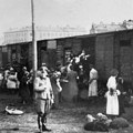 Mračni dani upravnika logora Treblinka: Objavljen prevod "Odlaska u tamu" Gite Serenji, koju Knausgor smatra nezaobilaznim…
