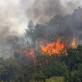 I dalje gori u Hrvatskoj: Kanaderi u vazduhu, stotine vatrogasaca na terenu