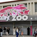 Ubijane ptice u skopskom zoo vrtu